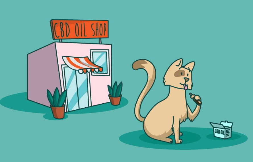 CBD Oil Dosage For Cats