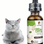 Cbd Oil For Cats Skin Conditions