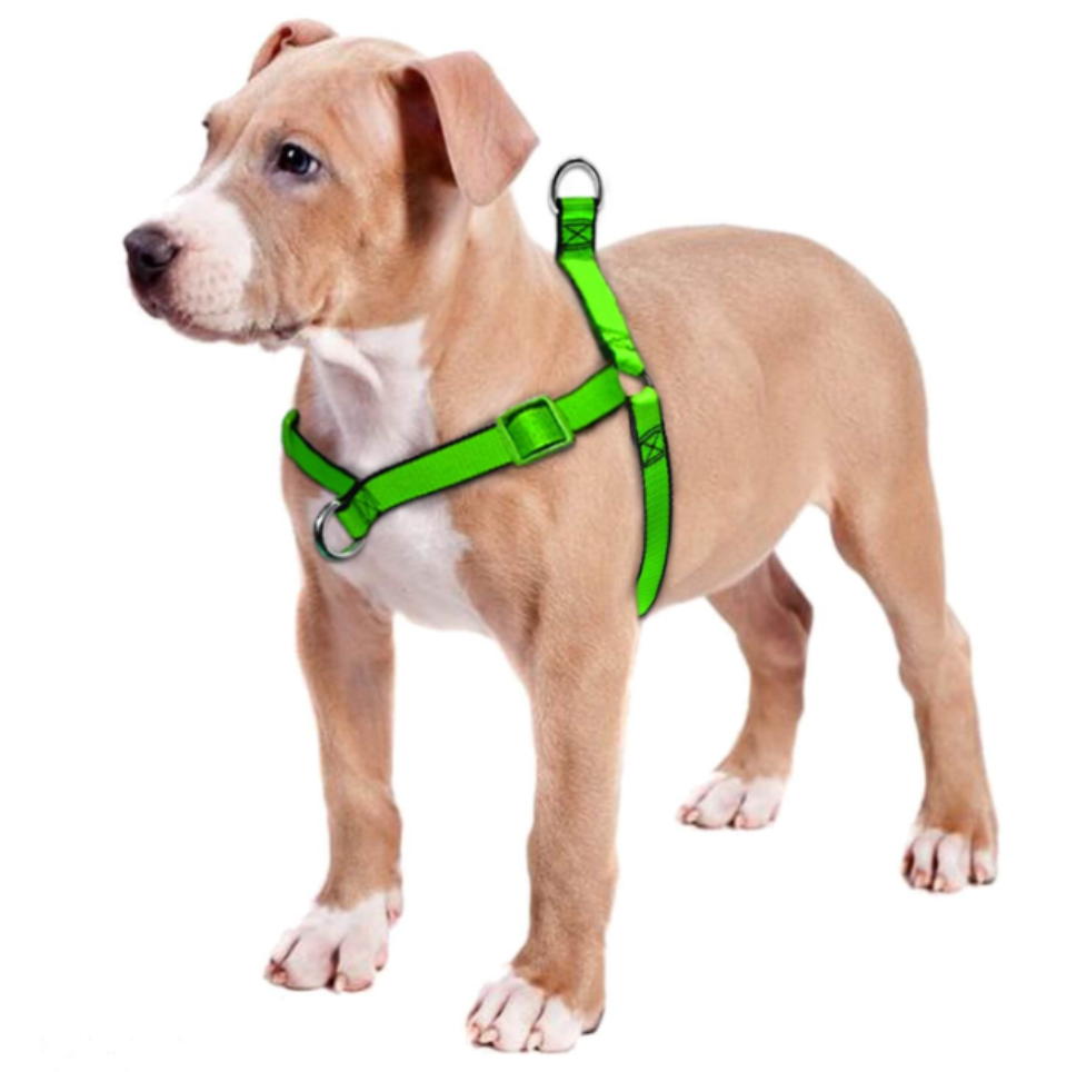 no-pull-dog-harness-for-large-dogs-thepetsabout