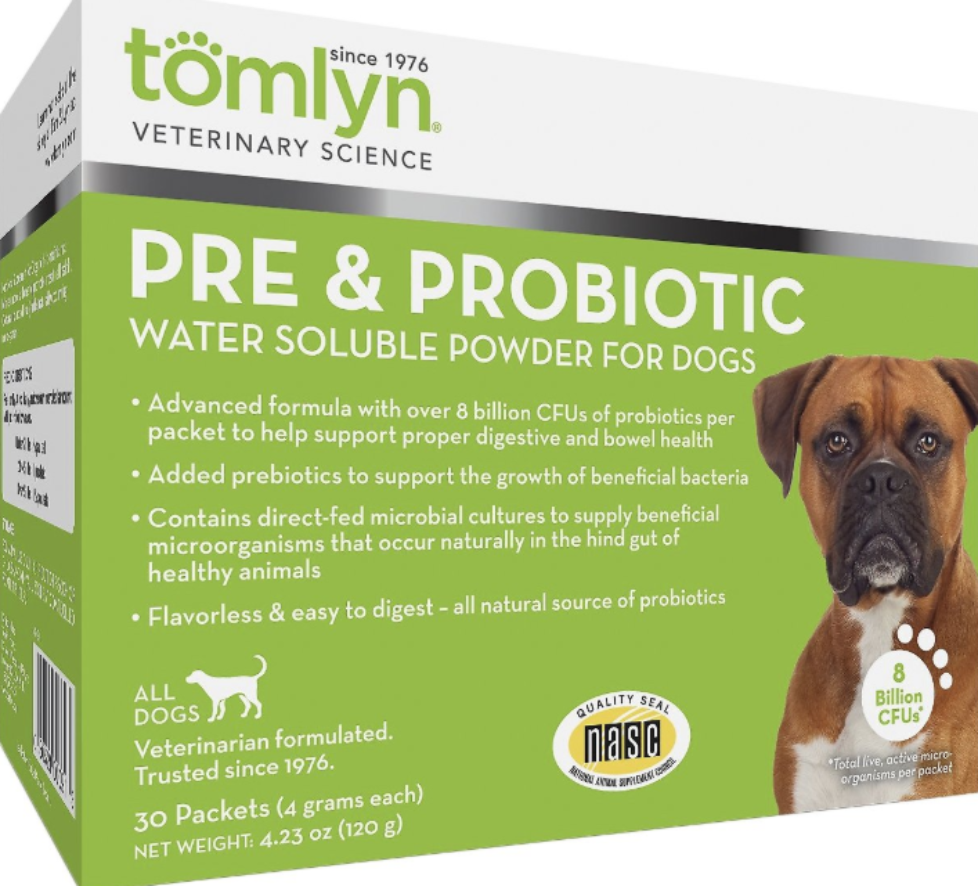 Probiotics For Dogs Benefits ThePetsAbout
