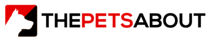 ThePetsAbout