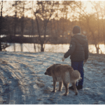 Winter Dog Walking