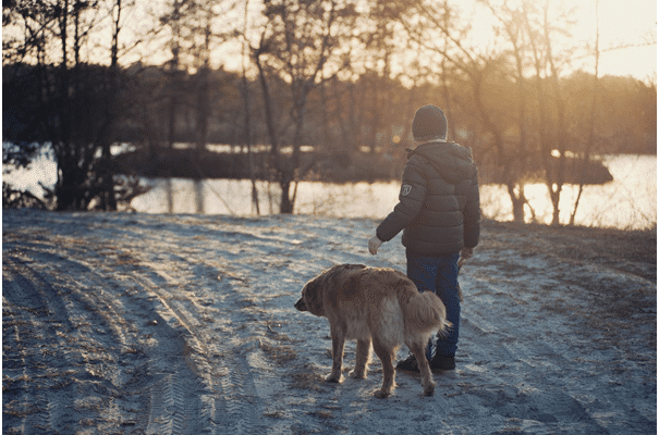 Winter Dog Walking