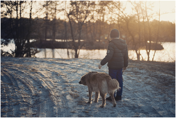 Winter Dog Walking