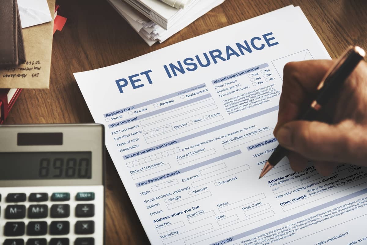 Health Insurance for a Pet