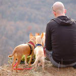 hiking trip