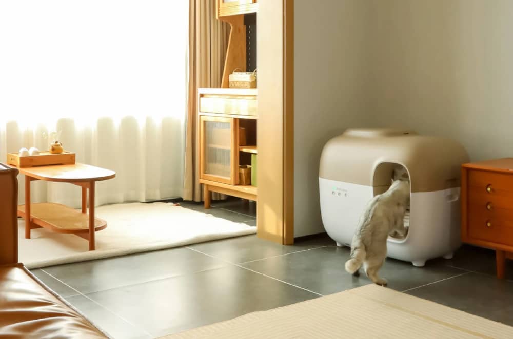 Cat entering a modern self-cleaning litter box in a bright, stylish living room.